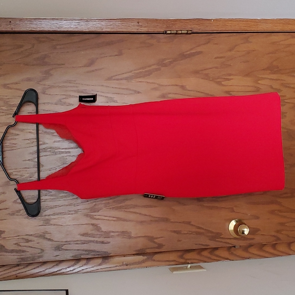 Red EXPRESS bodycon dress, brand new never worn (tag still on), size XS